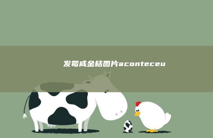 发霉咸金桔图片 aconteceu